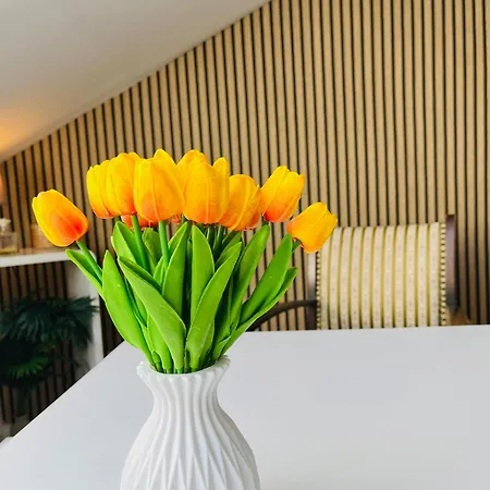 Feldhouse Apartment *
